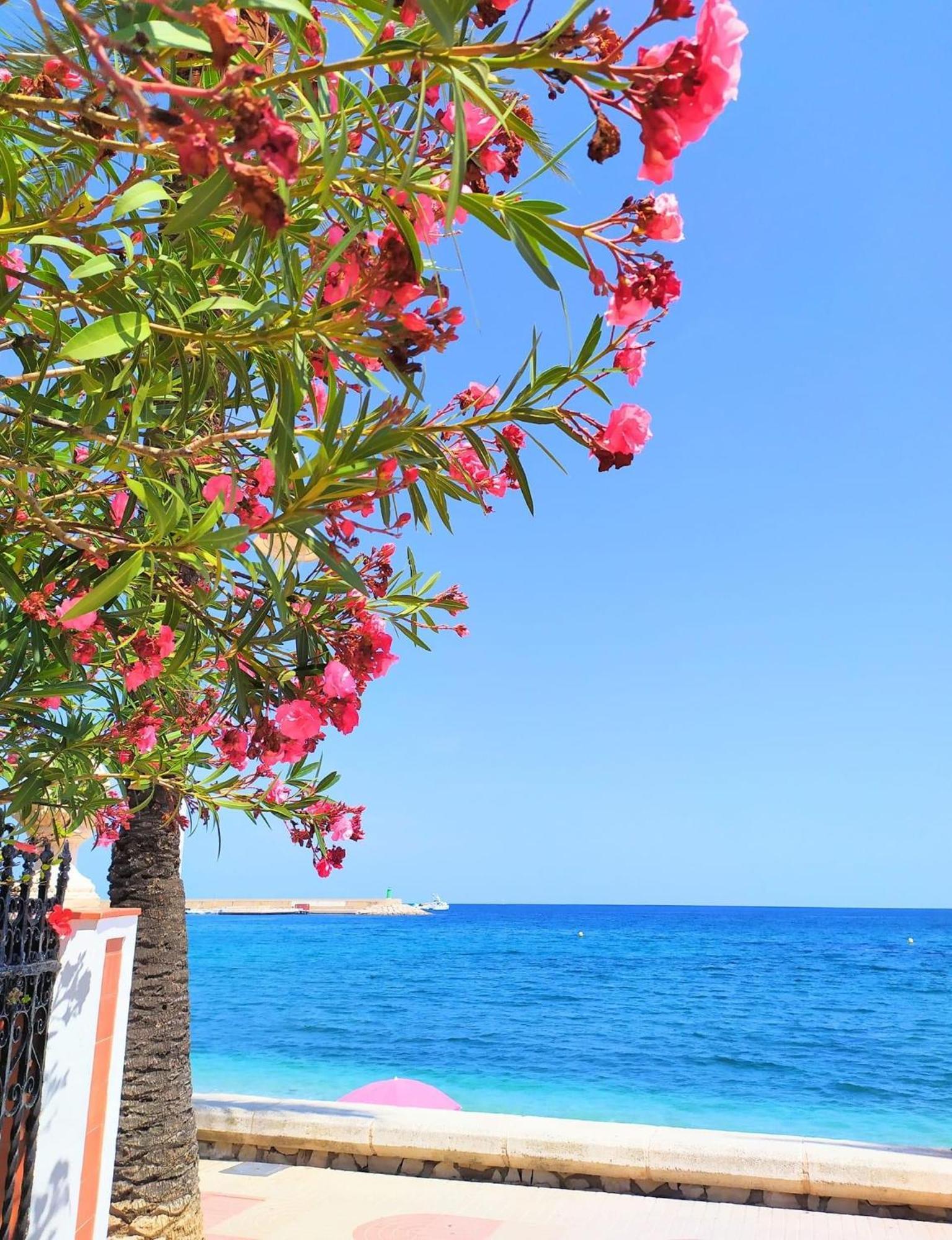 Javea Arenal Beach Extérieur photo